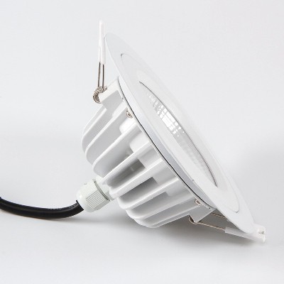 LED down light BCTD242